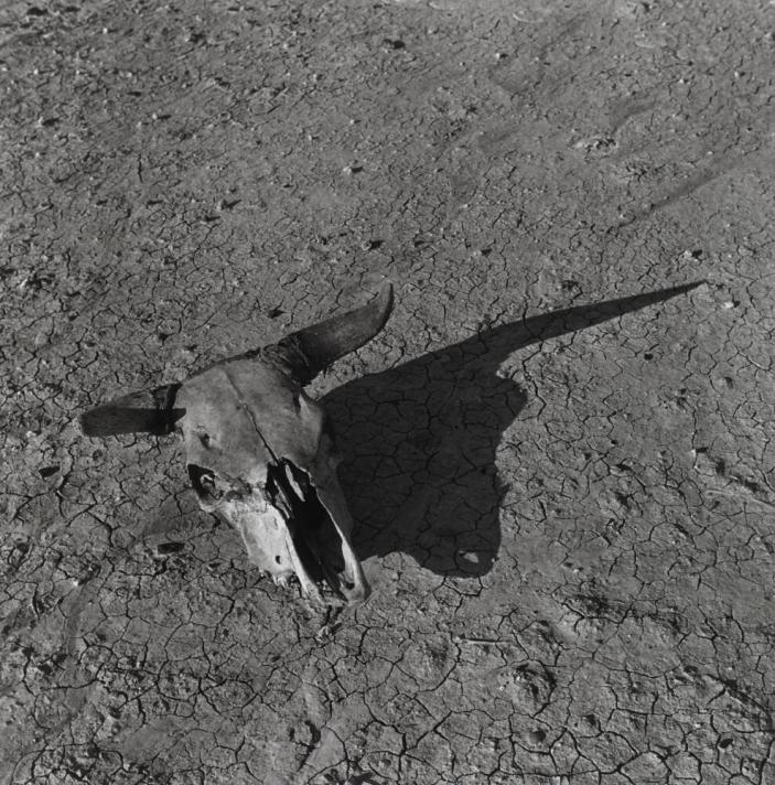 Farmer walking in dust storm Cimarron County Oklahoma Arthur Rothstein FSA 1936