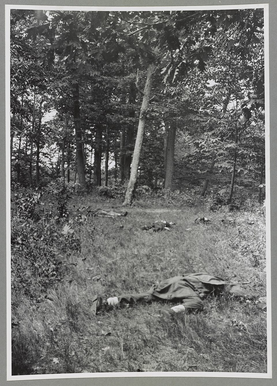 Confederate dead at Antietam
